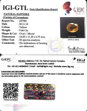 9.64/CT Natural Ceylonese Pukhraj with Govt Lab Certificate-6771